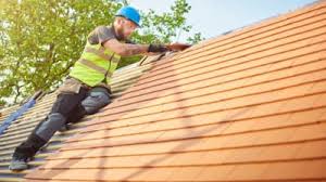 Best Roof Ventilation Installation  in Arnold, MO