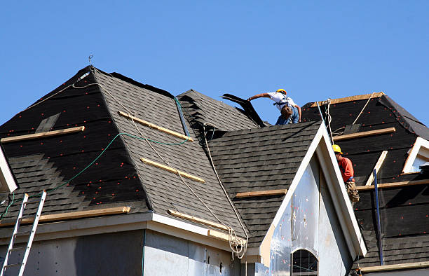 Steel Roofing in Arnold, MO